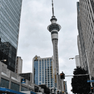 nz_Mesa de trabajo 1